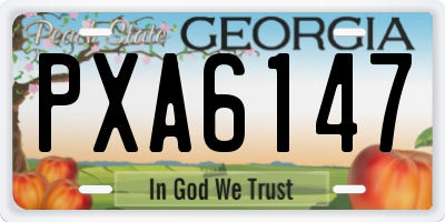 GA license plate PXA6147