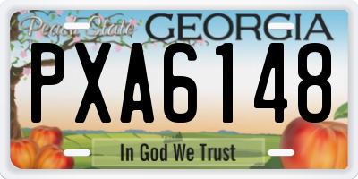 GA license plate PXA6148