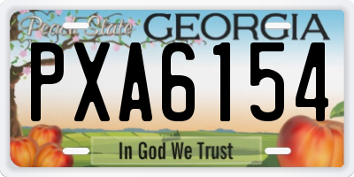 GA license plate PXA6154