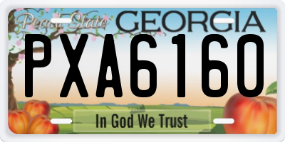 GA license plate PXA6160