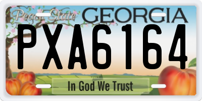 GA license plate PXA6164