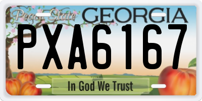 GA license plate PXA6167