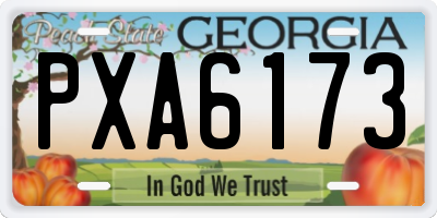 GA license plate PXA6173