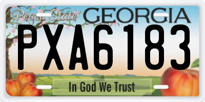 GA license plate PXA6183