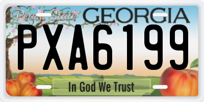 GA license plate PXA6199