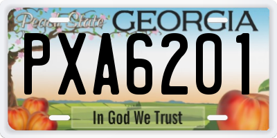 GA license plate PXA6201