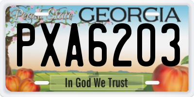 GA license plate PXA6203