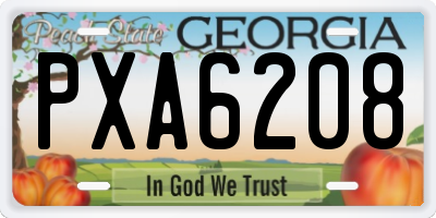 GA license plate PXA6208