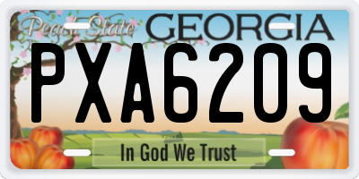 GA license plate PXA6209