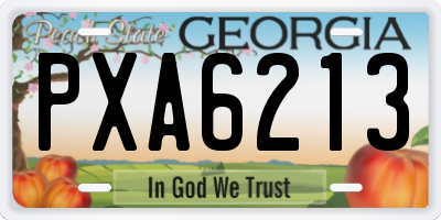 GA license plate PXA6213