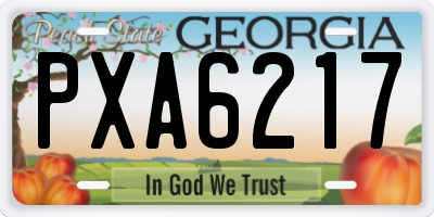 GA license plate PXA6217