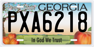 GA license plate PXA6218
