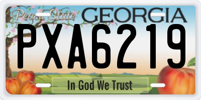 GA license plate PXA6219