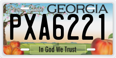 GA license plate PXA6221