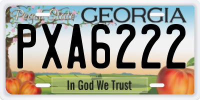 GA license plate PXA6222