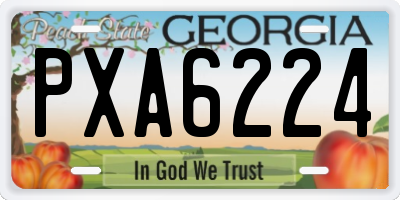 GA license plate PXA6224