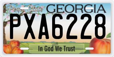 GA license plate PXA6228