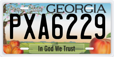 GA license plate PXA6229