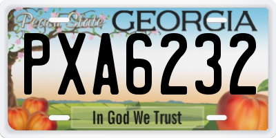 GA license plate PXA6232