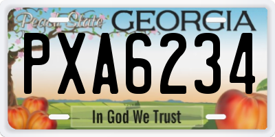 GA license plate PXA6234