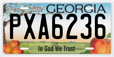 GA license plate PXA6236