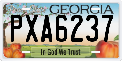 GA license plate PXA6237