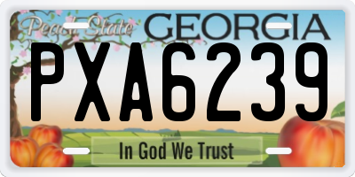 GA license plate PXA6239