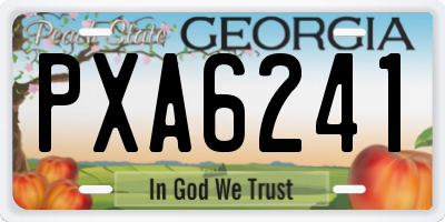GA license plate PXA6241