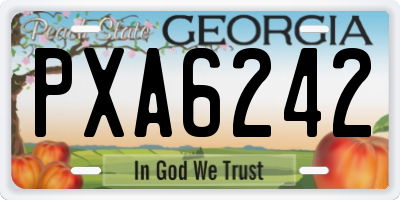 GA license plate PXA6242