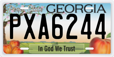 GA license plate PXA6244