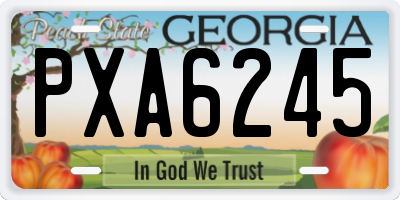 GA license plate PXA6245