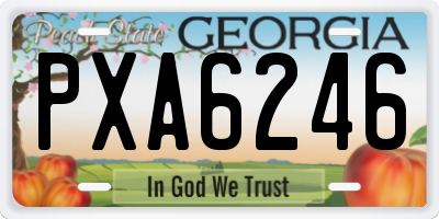 GA license plate PXA6246