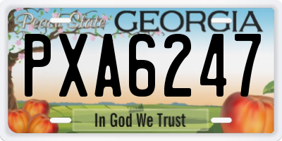 GA license plate PXA6247