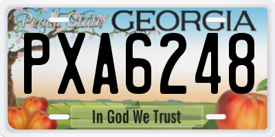 GA license plate PXA6248