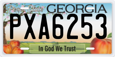 GA license plate PXA6253