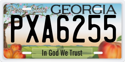 GA license plate PXA6255