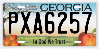 GA license plate PXA6257