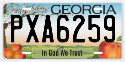 GA license plate PXA6259