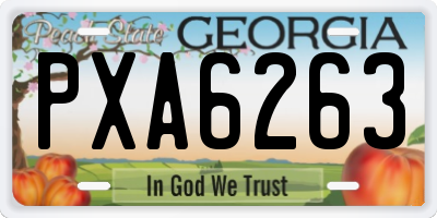 GA license plate PXA6263