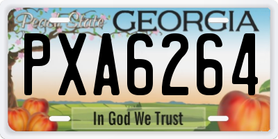 GA license plate PXA6264
