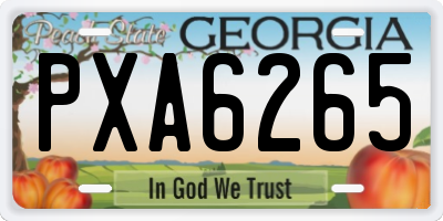 GA license plate PXA6265