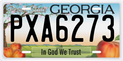 GA license plate PXA6273