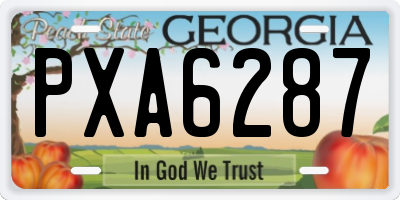 GA license plate PXA6287
