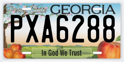 GA license plate PXA6288