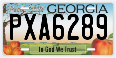 GA license plate PXA6289