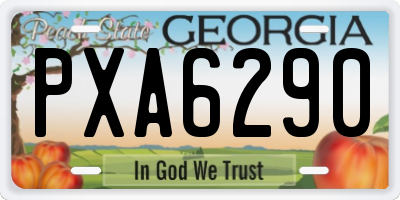 GA license plate PXA6290