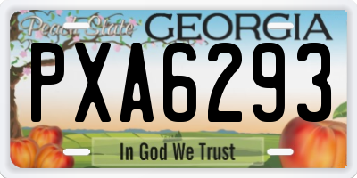 GA license plate PXA6293