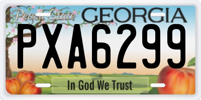 GA license plate PXA6299