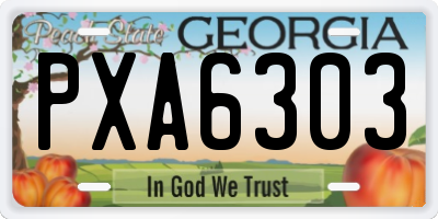 GA license plate PXA6303