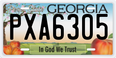 GA license plate PXA6305